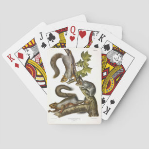 Eastern Grey Squirrel (Migratory Squirrel) Audubon Playing Cards