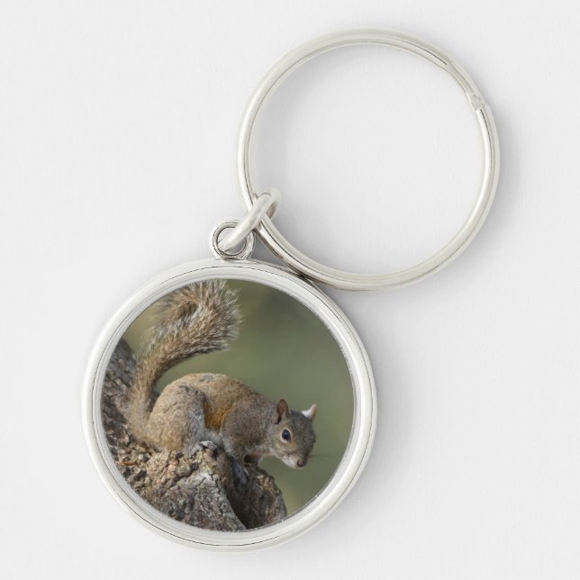 Eastern Grey Squirrel, or grey squirrel Keychain (Front)