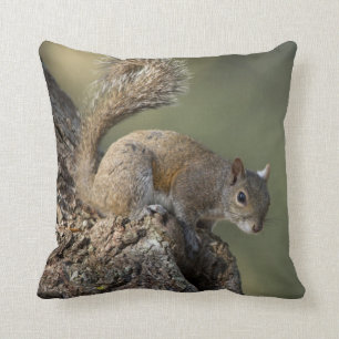 Eastern Grey Squirrel, or grey squirrel Throw Pillow