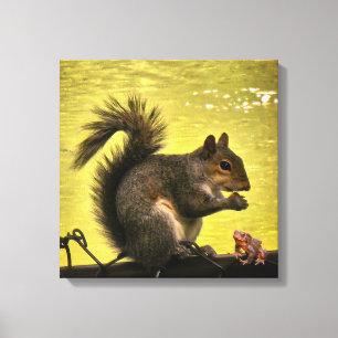 Eastern grey squirrel (Sciurus carolinensis) Canvas Print