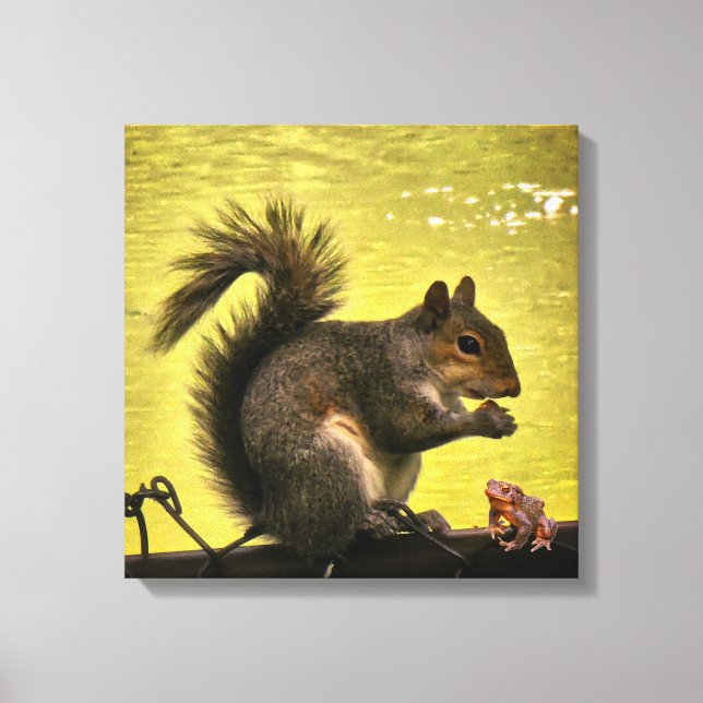 Eastern grey squirrel (Sciurus carolinensis)  Canvas Print (Front)