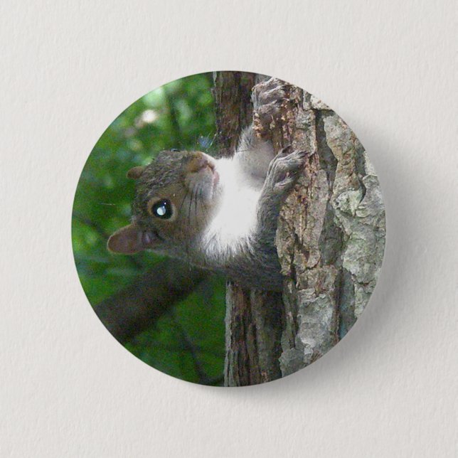 Eastern Grey Squirrel (Sciurus carolinensis) Items 2 Inch Round Button (Front)
