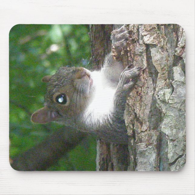 Eastern Grey Squirrel (Sciurus carolinensis) Items Mouse Pad (Front)