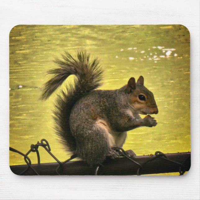 Eastern grey squirrel (Sciurus carolinensis)  Mouse Pad (Front)