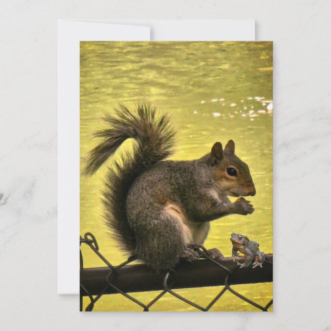 Eastern grey squirrel (Sciurus carolinensis)  Thank You Card (Front)