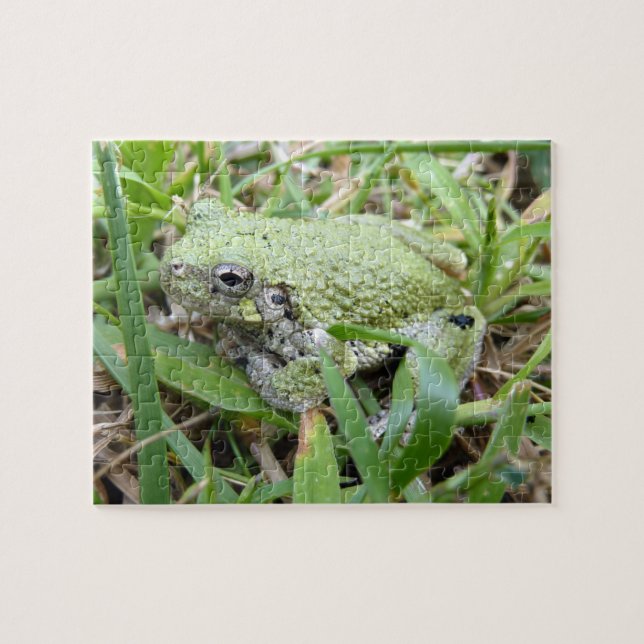 Eastern Grey Treefrog Nature Photography Jigsaw Puzzle (Horizontal)