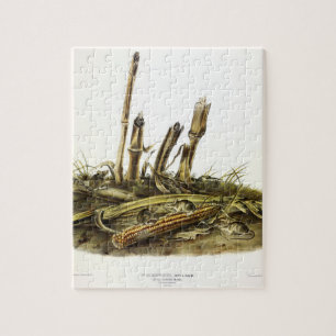 Eastern Harvest Mouse or Little Harvest Mouse Jigsaw Puzzle