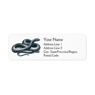 Eastern Indigo Snake Address Labels