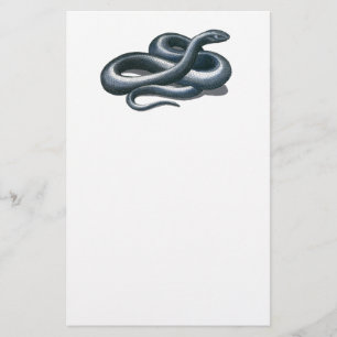 Eastern Indigo Snake Stationery