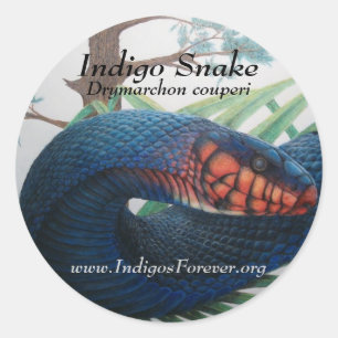 Eastern Indigo Snake Stickers