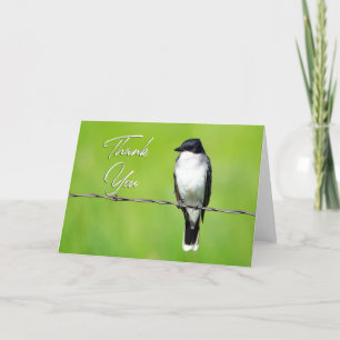 Eastern King Bird Photo Thank You Card