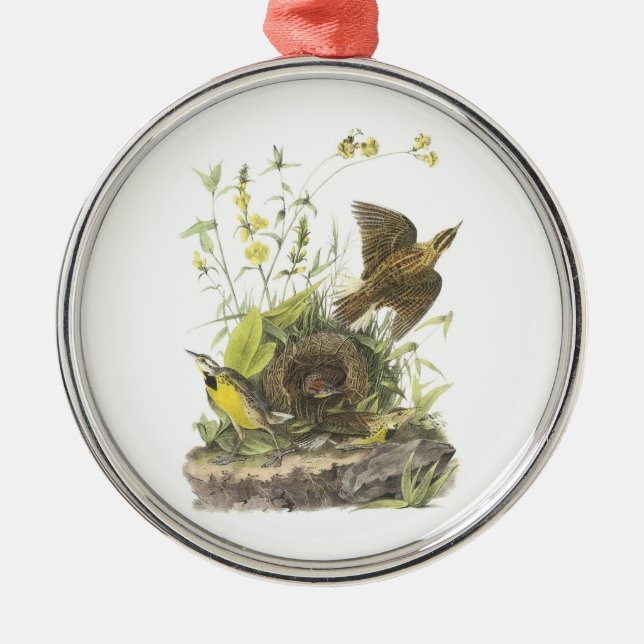 Eastern Meadowlark by Audubon Metal Ornament (Front)