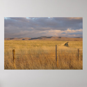 Eastern Oregon at Dusk Poster