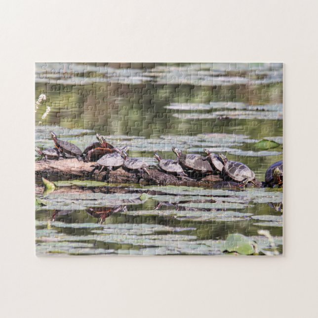 Eastern Painted Turtle Jigsaw Puzzle (Horizontal)