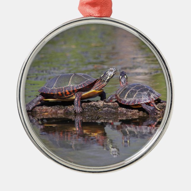 Eastern Painted Turtles Metal Ornament (Front)
