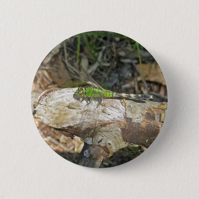 Eastern Pondhawk Dragonfly Coordinated Items 2 Inch Round Button (Front)