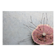 Eastern Red Cedar Nature Sculpture Oblique