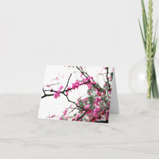 Eastern Redbud Card
