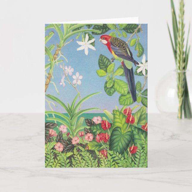 Eastern Rosella Holiday Card (Front)