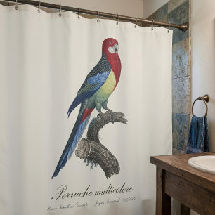 Eastern rosella or Platycercus eximius parakeet