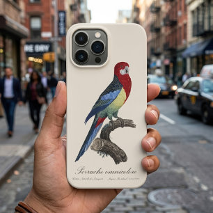 Eastern rosella or Platycercus eximius parakeet iPhone 13 Pro Max Case