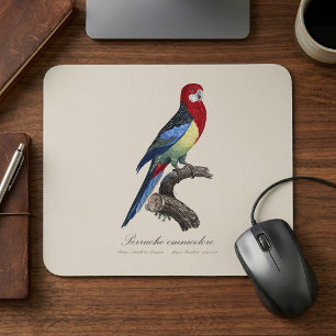 Eastern rosella or Platycercus eximius parakeet Mouse Pad