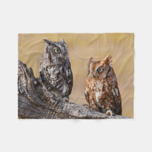 Eastern Screech Ow Roosting in Tree Fleece Blanket