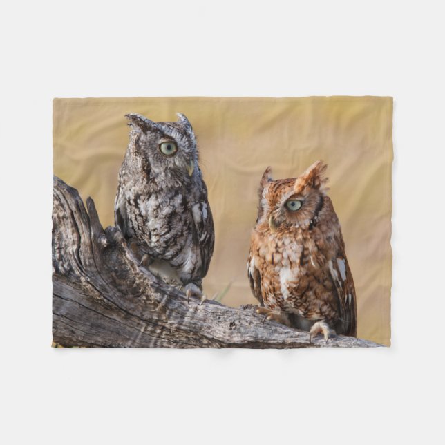 Eastern Screech Ow Roosting in Tree Fleece Blanket (Front (Horizontal))