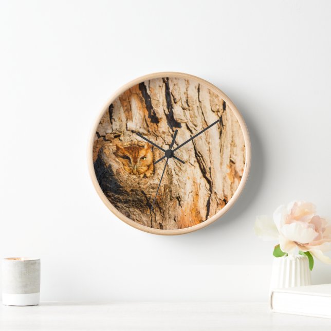 Eastern Screech-Owl Clock (Home)