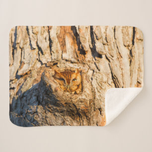 Eastern Screech-Owl Sherpa Blanket