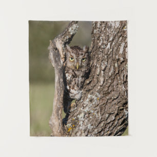 Eastern Screech Owl Tapestry