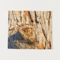 Eastern Screech-Owl