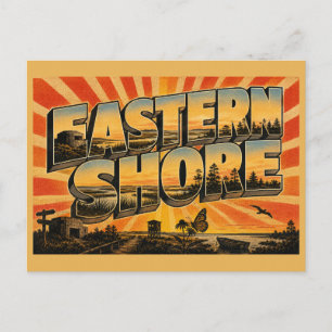 Eastern Shore VA Marsh Forest WWII Bunker Art Postcard