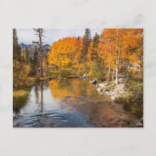 Eastern Sierra, Bishop Creek, California Outlet Postcard