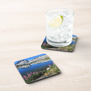 Eastern Sierra Mountains Coaster