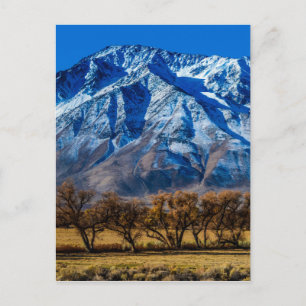 Eastern Sierra Nevada Fall - Bishop - Californa Postcard
