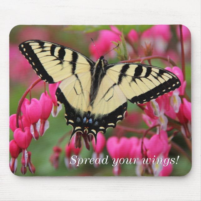 Eastern Swallowtail 2 Mouse Pad (Front)