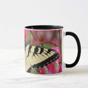 Eastern Swallowtail Mug