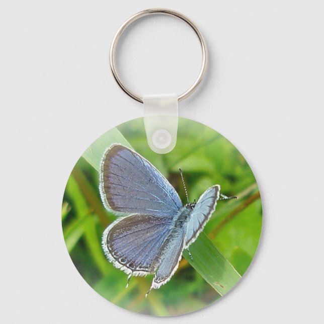 Eastern Tailed Blue Butterfly Coordinating Items Keychain (Front)