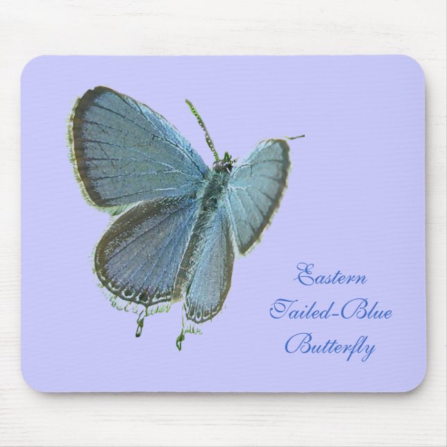 Eastern-Tailed Blue Butterfly Mousepad (Front)