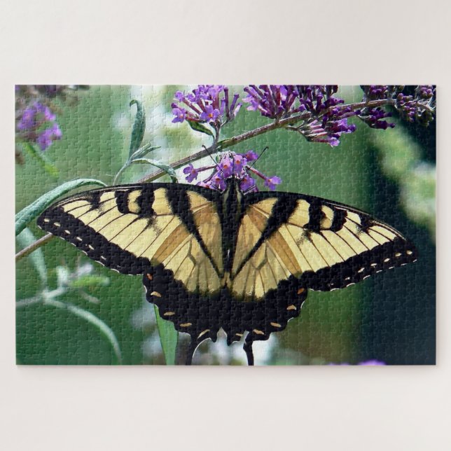 Eastern Tiger Butterfly. Jigsaw Puzzle (Horizontal)