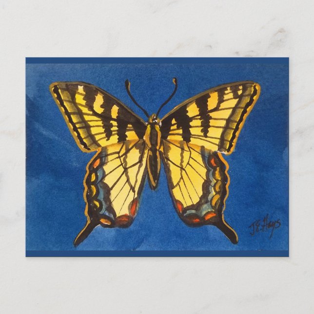 Eastern Tiger Butterfly Postcard (Front)