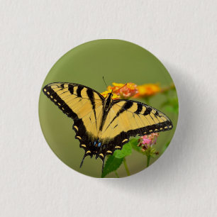 Eastern Tiger Swallowtail Butterfly 1 Inch Round Button