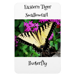 Eastern Tiger Swallowtail Butterfly #1 Magnet