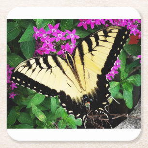 Eastern Tiger Swallowtail Butterfly #1 Square Paper Coaster