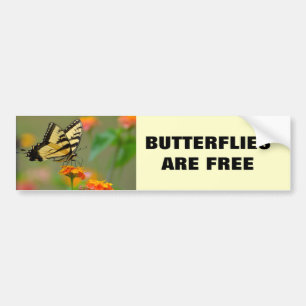 Eastern Tiger Swallowtail Butterfly Bumper Sticker