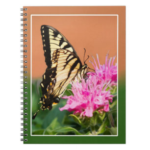 Eastern Tiger Swallowtail Butterfly Notebook