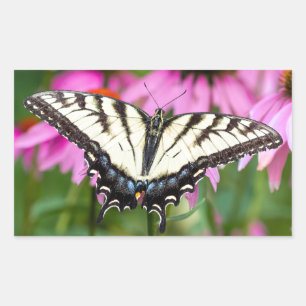 Eastern Tiger Swallowtail Butterfly On Coneflowers Sticker