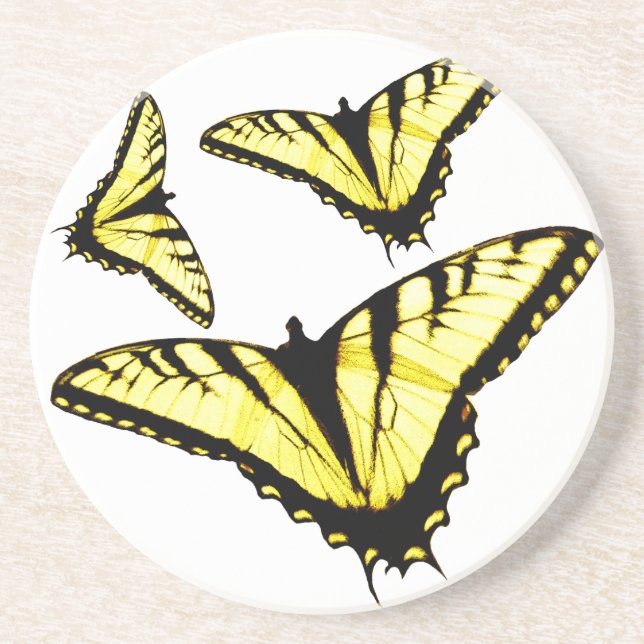 Eastern Tiger Swallowtail Butterfly Photo Coaster (Front)