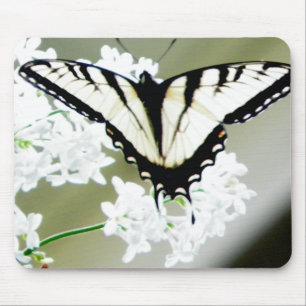 Eastern Tiger Swallowtail Butterfly Photo Mouse Pad